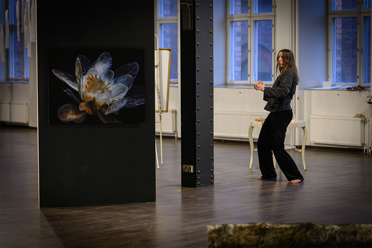 05b kuolevainen finlaysoinin alue by mikko vares kulttuuritoimitus