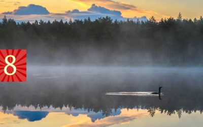 Luukku 8: Kovaäänisiä terveisiä 66 miljoonan vuoden takaa