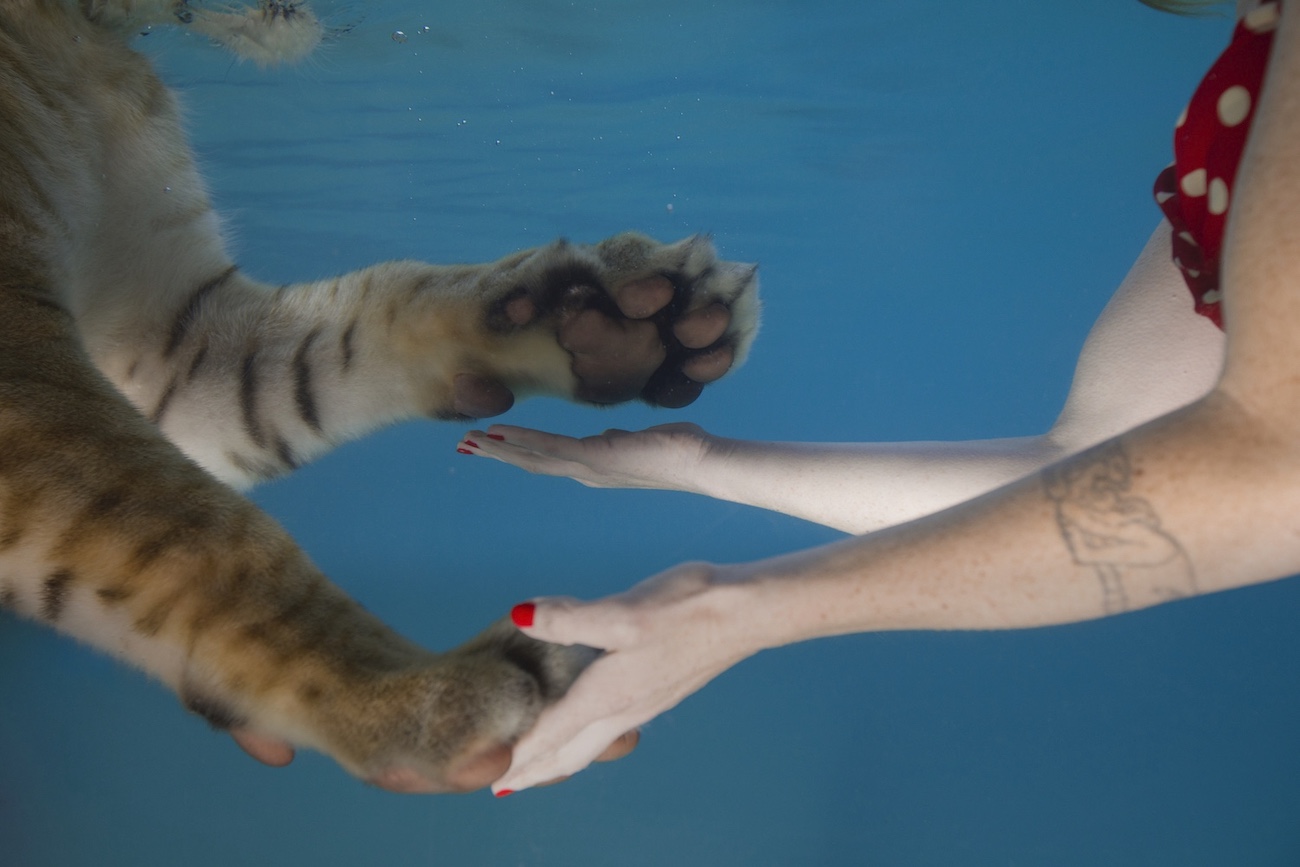 Oddkinin outoja kuvia ja oudompia juttuja – Jessica Segall Seinäjoen taidehallissa