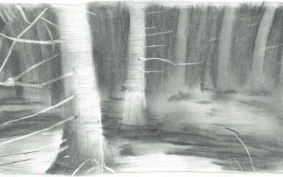 Parasta juuri nyt (16.2.2026): Vera den Arend, Uutispodcast, Vakavastisairaat, Taulu, Yönistujat