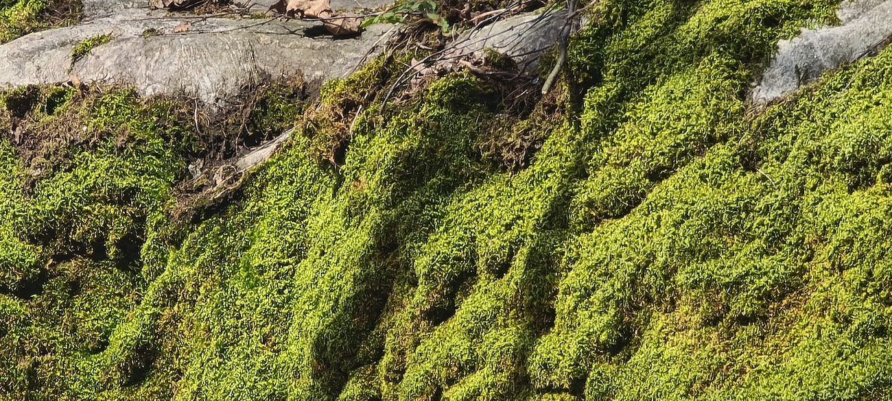 levoton tuhkimo by hanna maria gronlund kulttuuritoimitus INSTA levoton tuhkimo by hanna maria gronlund kulttuuritoimitus INSTA