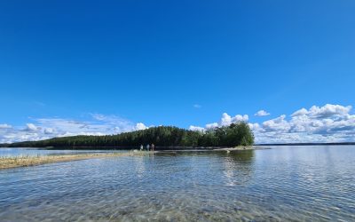 Parasta juuri nyt (14.8.2026): Vapauden oppitunnit, Argivoi da pyhähuttu, Sulosaari, Koli & Paalasmaa, marjat
