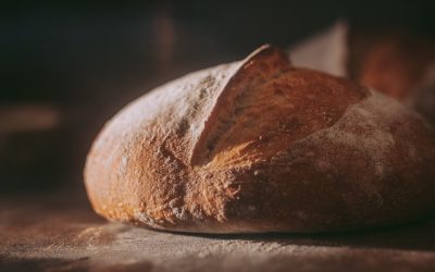 Paluu juurille: Leipään riittää jauhot, vesi ja suola – hapanjuurileipurien yhteisön reseptit kirjaan