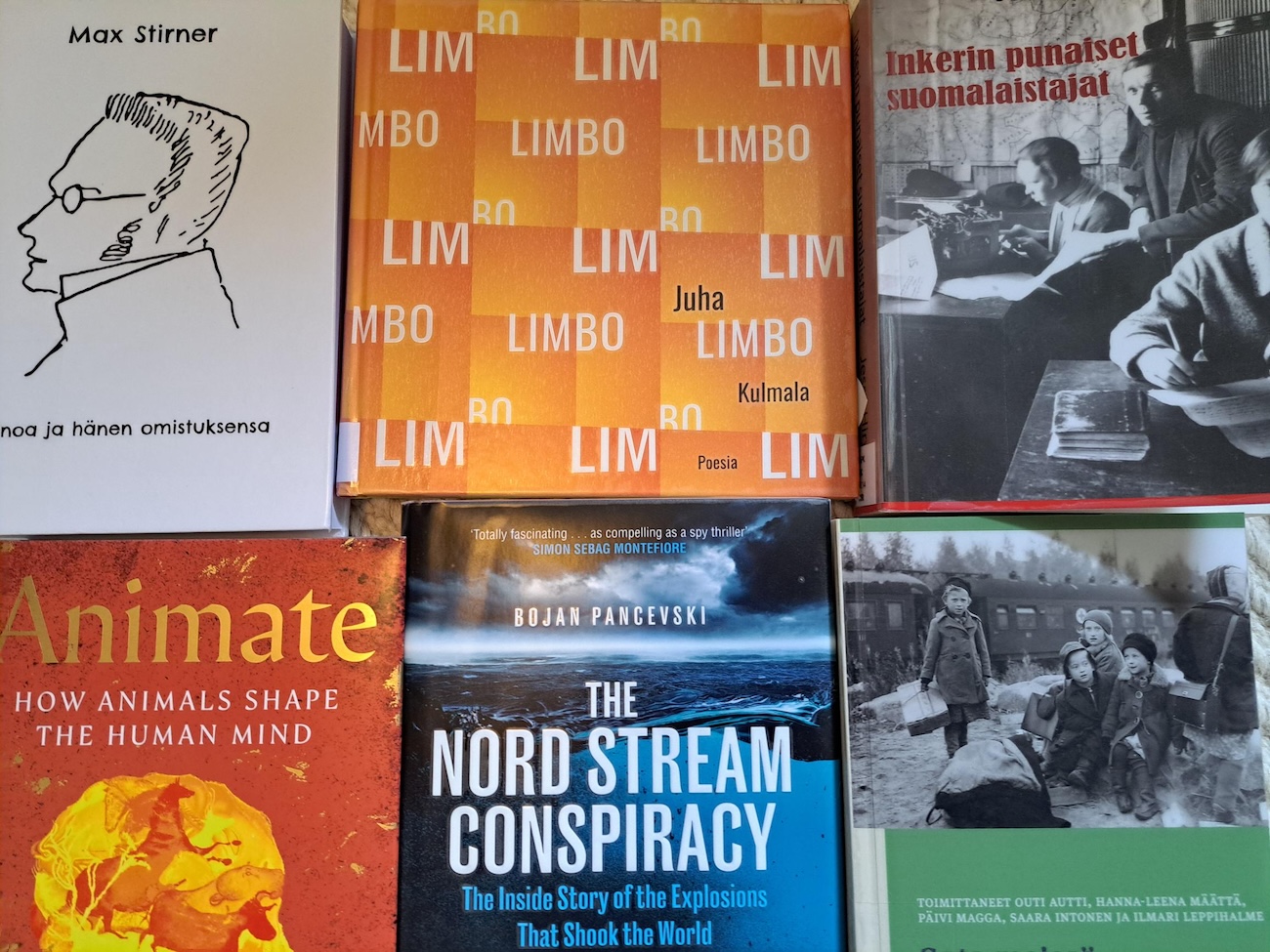 levoton tuhkimo by hanna maria gronlund kulttuuritoimitus INSTA levoton tuhkimo by hanna maria gronlund kulttuuritoimitus INSTA