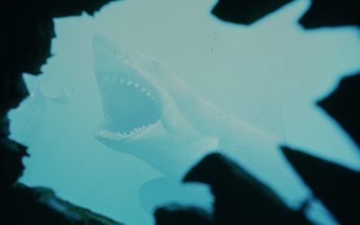 50-vuotiasta Tappajahaita uudelleen katsoessa saattaa yllättyä siitä, miten hyvä elokuva se edelleen on