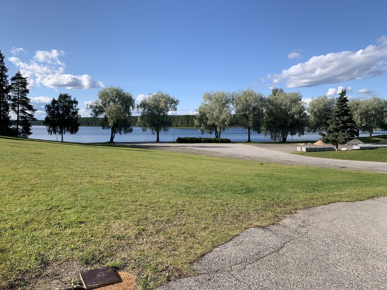 4 Järven rannan hopeapajut