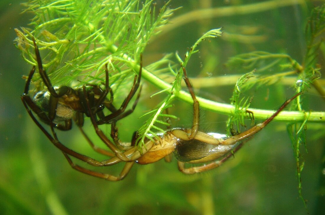 levoton tuhkimo by hanna maria gronlund kulttuuritoimitus INSTA levoton tuhkimo by hanna maria gronlund kulttuuritoimitus INSTA