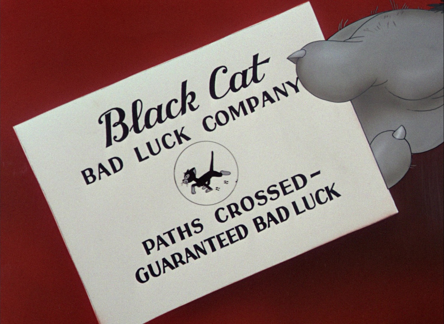 Bad luck blackie kuva2
