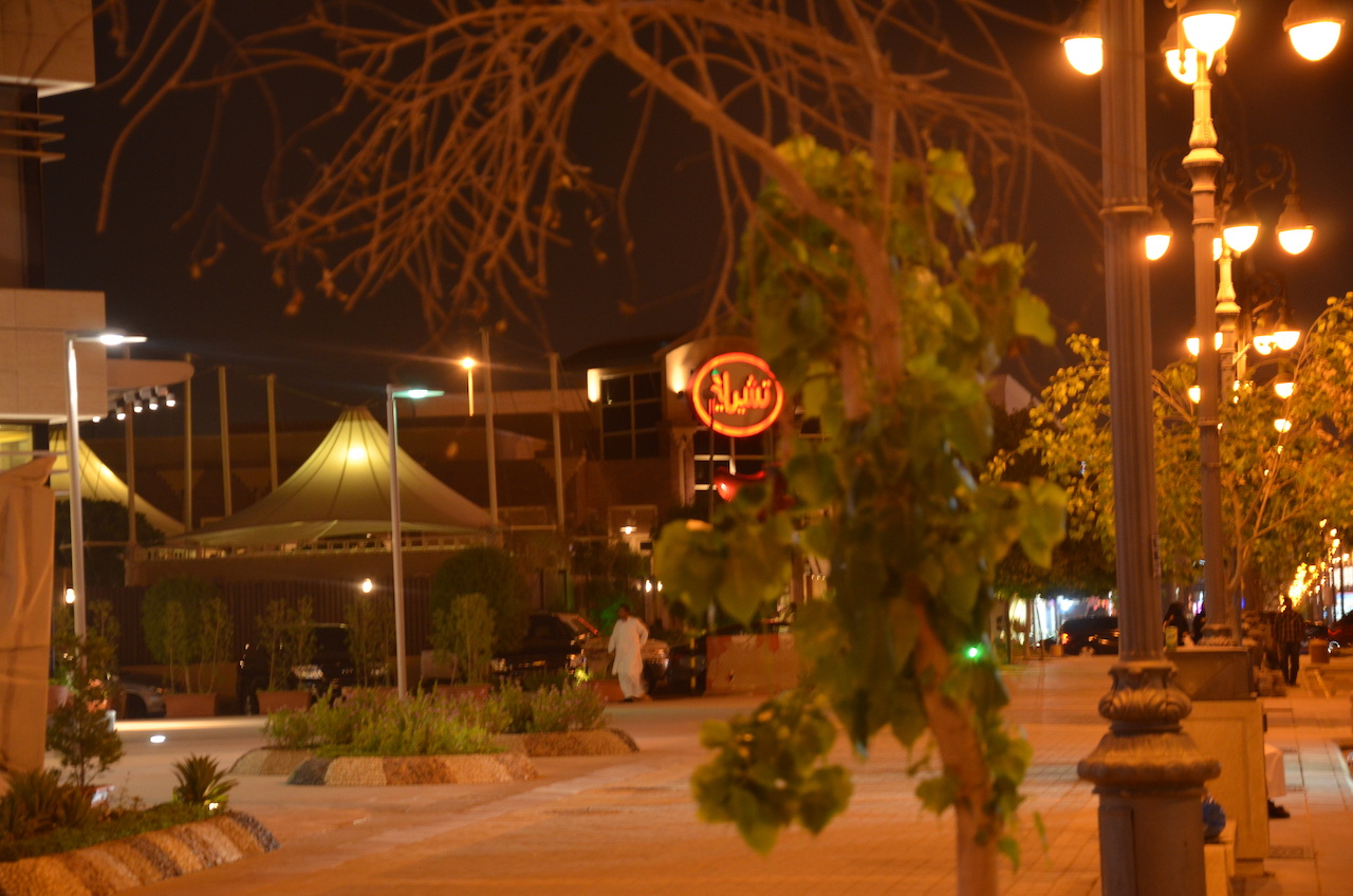 Bileistä Riadissa kuva2