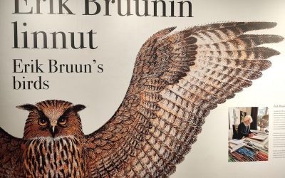 Erik Bruun tuntee linnut hennon untuvan tarkkuudella – Postimuseo esittelee sata vuotta täyttävän graafikon lintuaiheisia merkkejä ja luonnoksia