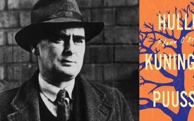 Metafiktion klassikko – arviossa Flann O’Brienin Hullu kuningas puussa