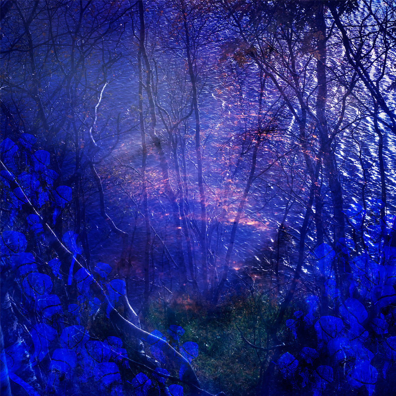 Gállábártniid jávri press toimitukseen kuva 9