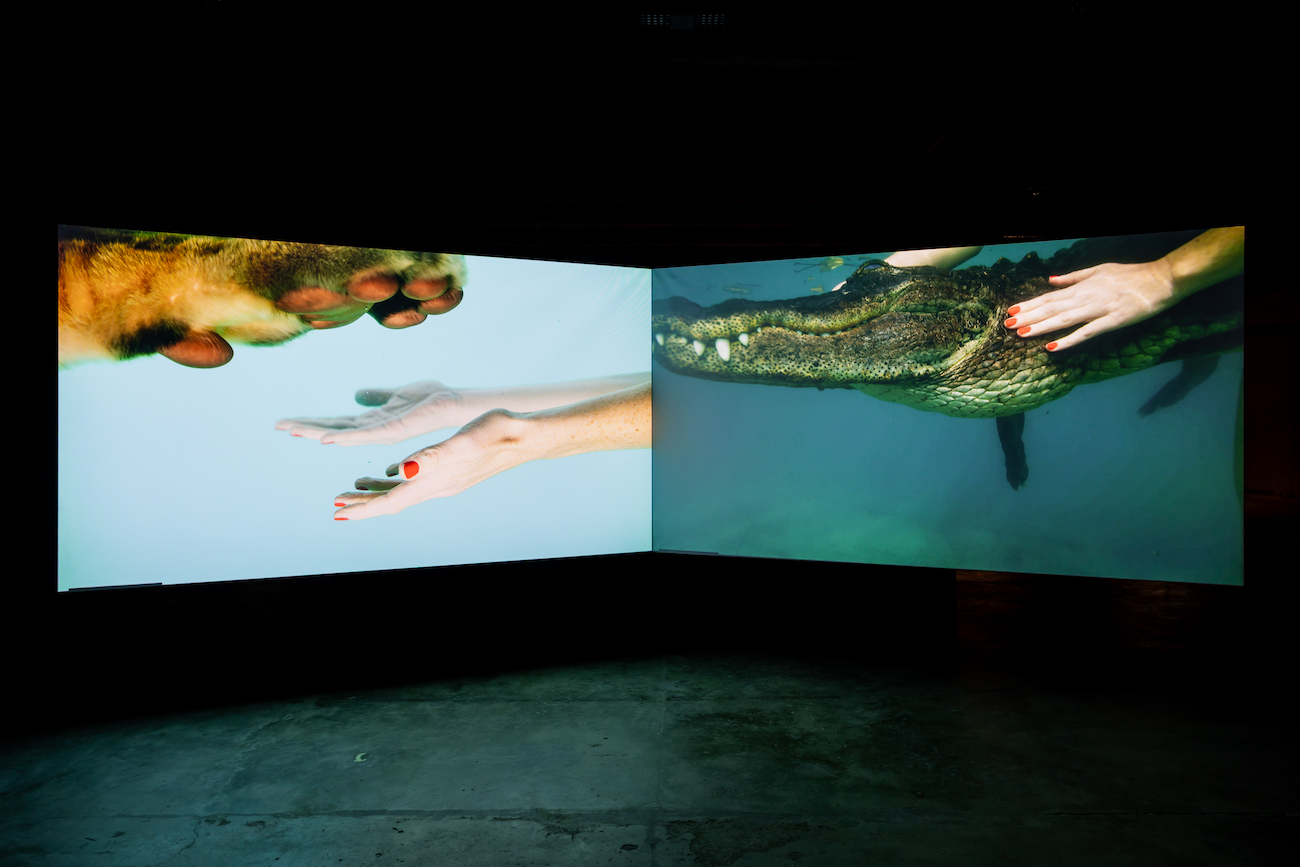 HALLI Jessica Segall Oddkin work uncommon intimacyt photo Krista Luoma