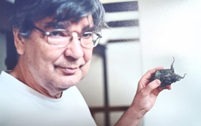 Mustan ja valkoisen mestari K – Pentti Kaskipuro ja abstraktin houkutus