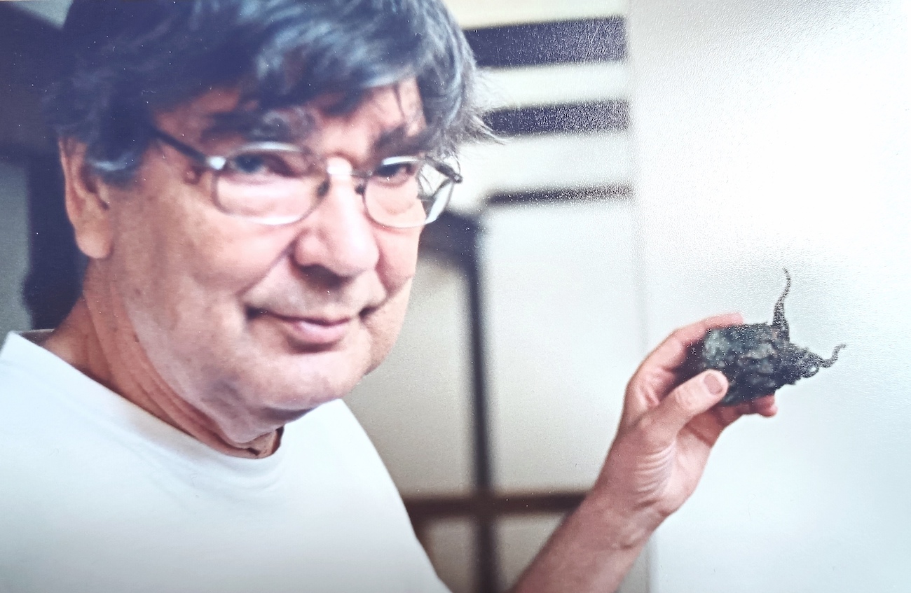 levoton tuhkimo by hanna maria gronlund kulttuuritoimitus INSTA