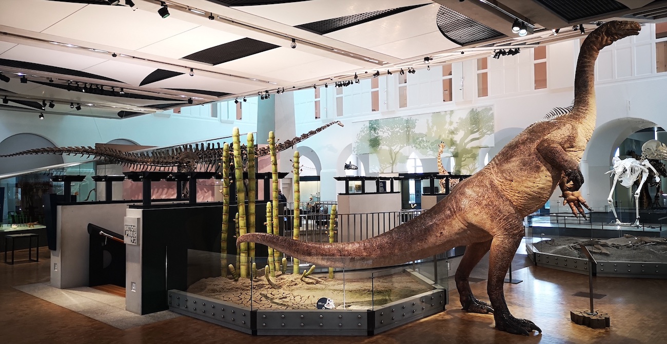 KUVA1petripjn2210205