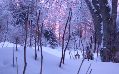 Parasta juuri nyt (25.2.2022): Lumi, valkoinen väri, Kate Bush, lumityöt, liioittelu, Manifetsi