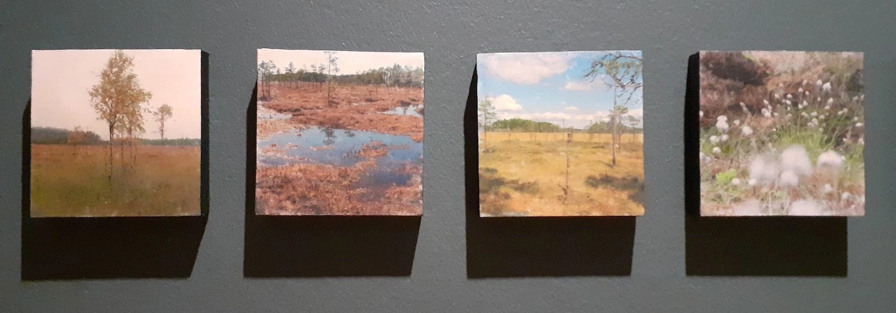 Katoava eramaa kuva 5