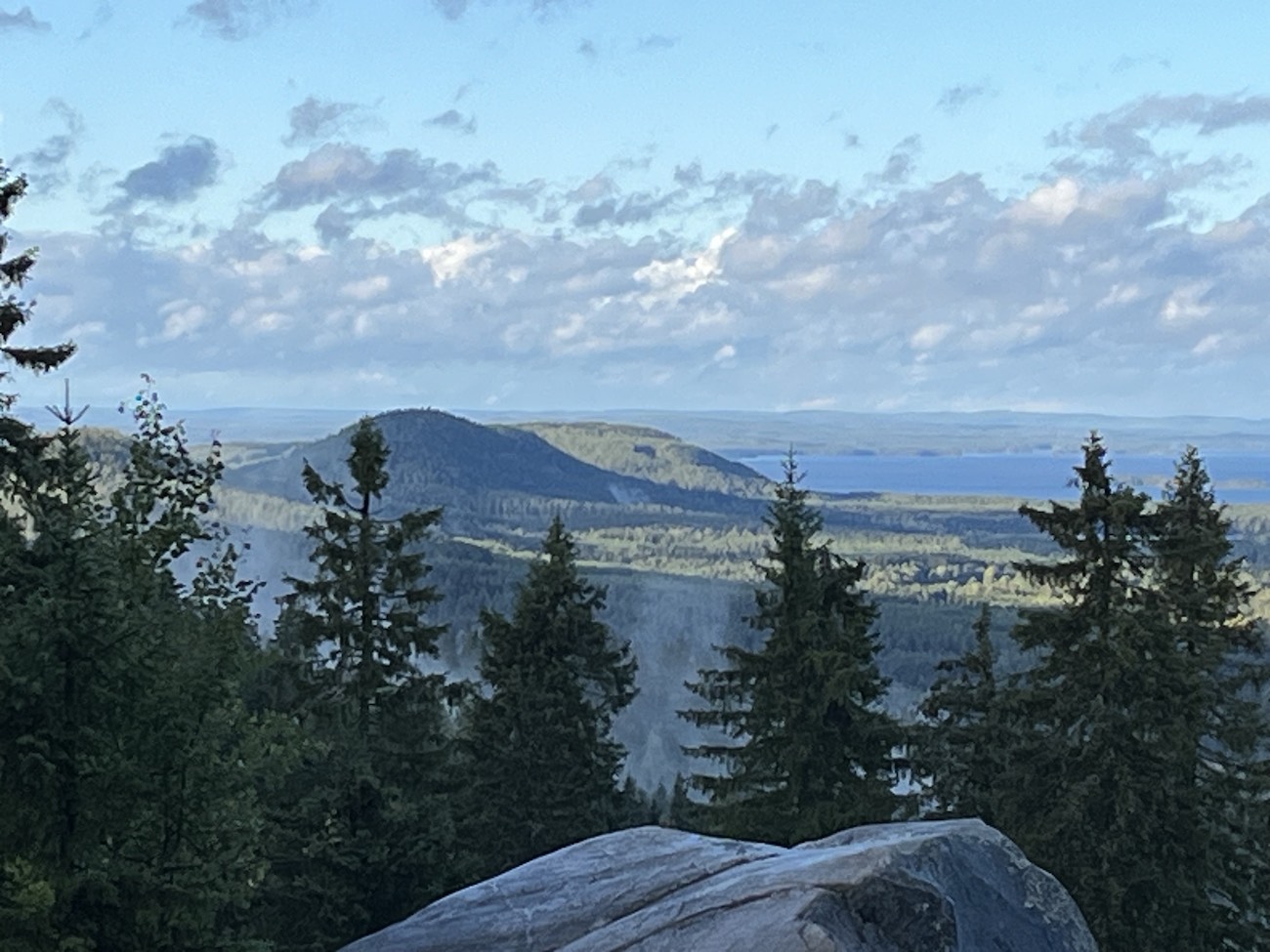 KUVA 1: KANSI: Maisema Kolin kansallispuistosta. KJ Maisema Kolin kansallispuistosta Kuva: Kirsi Jaatinen