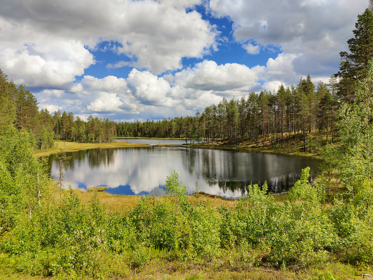 Kuva 3, Rovaniemi Meltaus