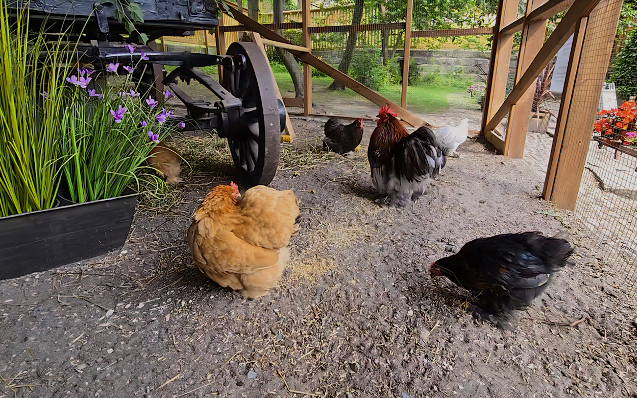 Kuva 5 Inkeri Veikko jne