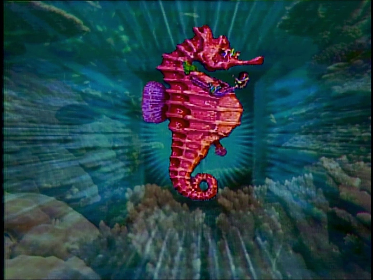 Luna Clipper kuva2 (kopio)