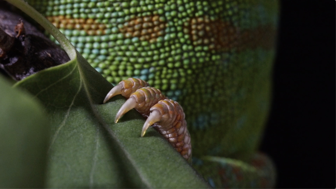 levoton tuhkimo by hanna maria gronlund kulttuuritoimitus INSTA