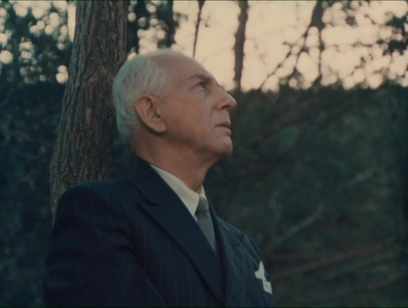 Marshal kuva1