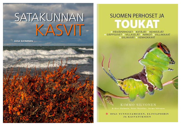 Nayttokuva 2025 10 15 kello 1532 (2)