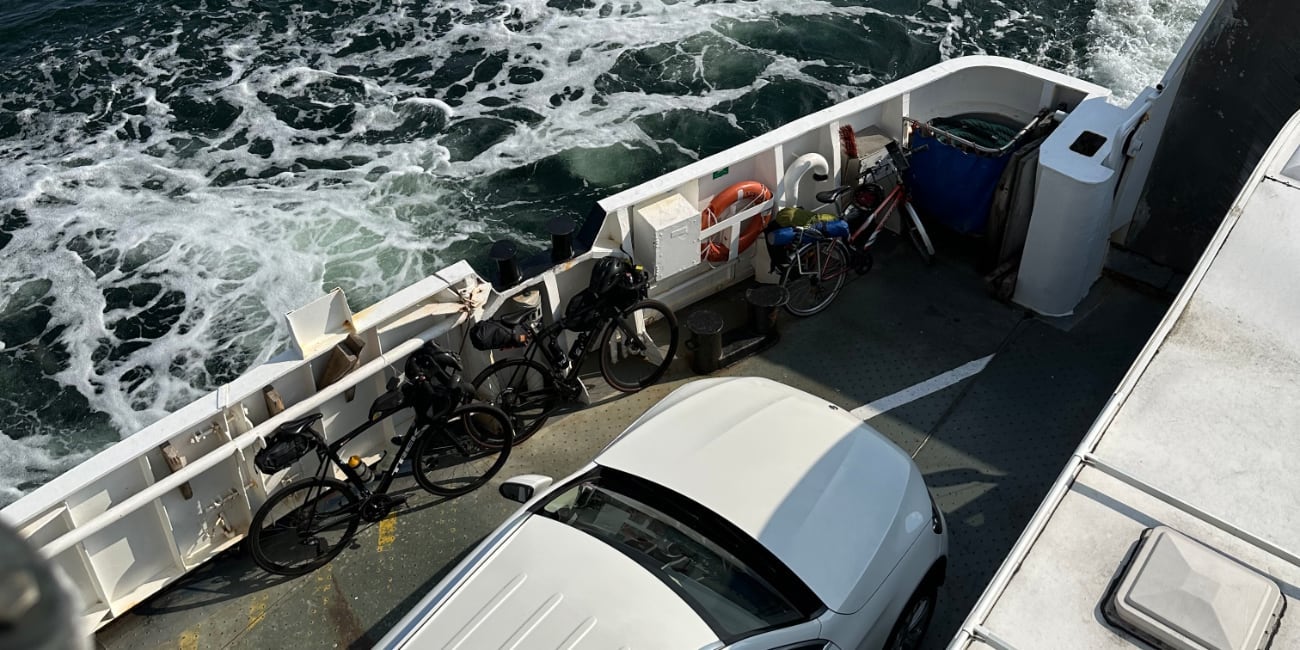 PJN 11.8.2025 Alfågeln