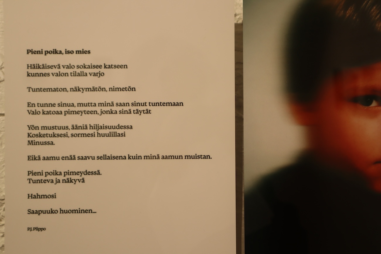 Pienipoikaisomies