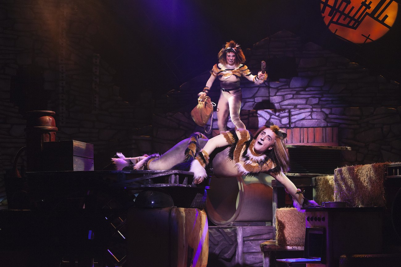 Pyry Smolander Cats, kuva Harri Hinkka