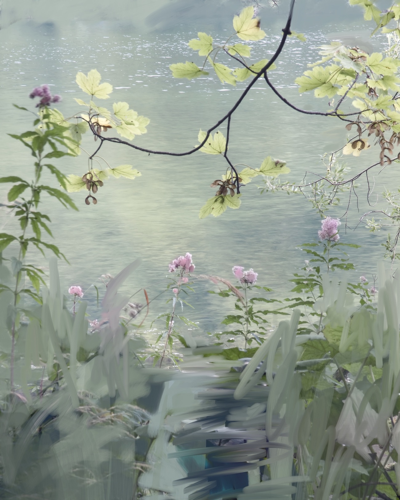 Sandra Kantanen Pink Flowers (kopio)