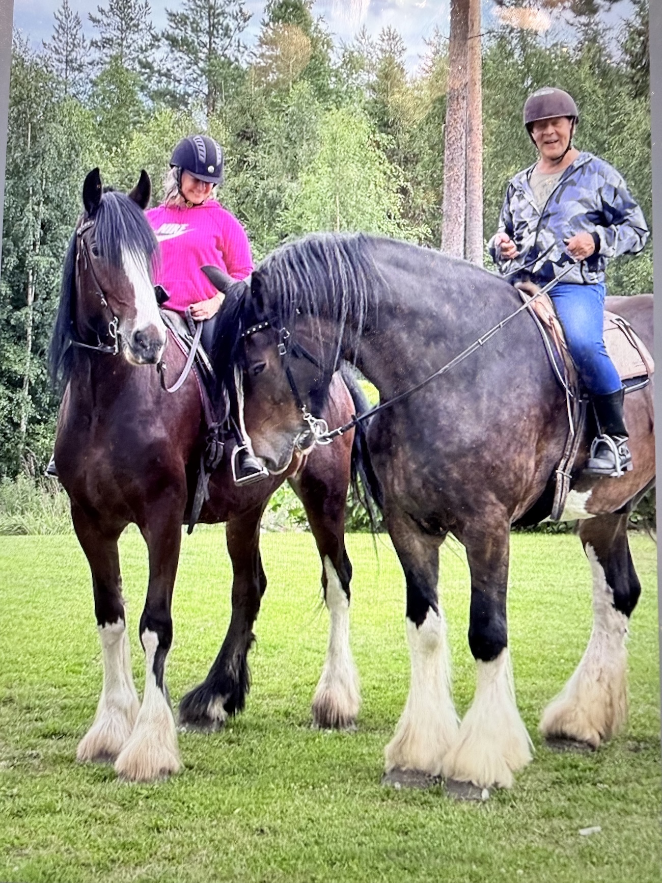 Shirenhevosmaastossa Paulin synttarien kunniaksi kotialbumi