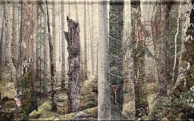 Vieraantumisesta läsnäoloon – Soile Hovila ja Kouvolan taidemuseon Kosketuksissa-näyttely