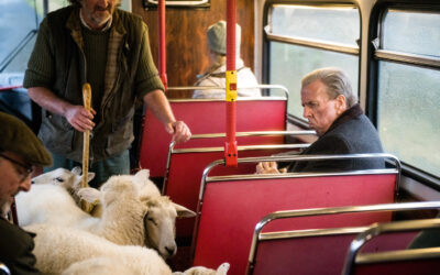 Matkalla kohti kaukaista kotia – Timothy Spall loistaa Viimeinen vuoro -elokuvassa