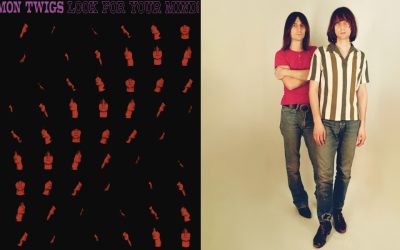 Takki auki retroestetiikan sydämessä – arviossa The Lemon Twigsin kuudes albumi Look For Your Mind!