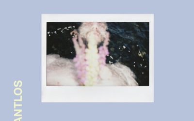 Parasta juuri nyt (12.3.2026): Kalojen aika, vankiloiden vastaanottolehdet, Lantlôs ja mikrogenremusiikki