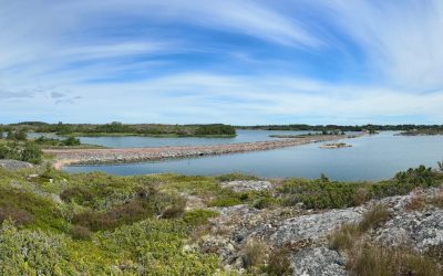 Parasta juuri nyt (9.7.2026): Ahvenanmaa-spesiaali!
