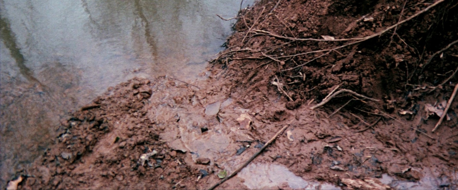 boggy creek kuva1 (kopio)