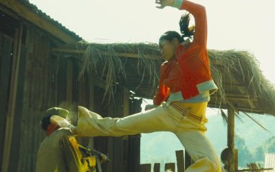 Kuin kuvastimessa #29: Born to Fight (2004)