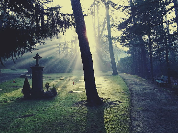 cemetery light glow sun preview