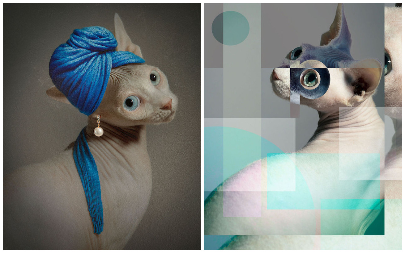 combothe cat with the pearl earring