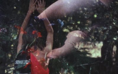 Kuin kuvastimessa #43: Dyketactics (1974)