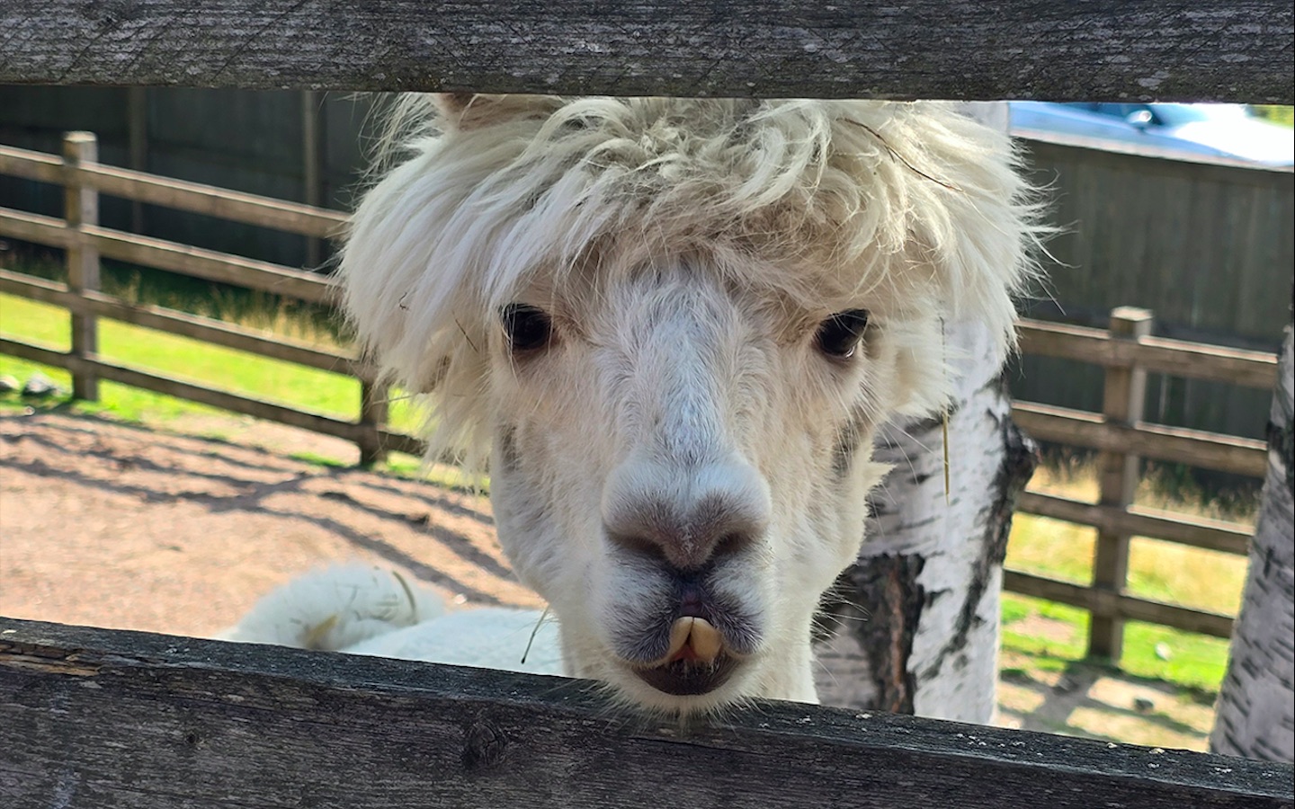 levoton tuhkimo by hanna maria gronlund kulttuuritoimitus INSTA