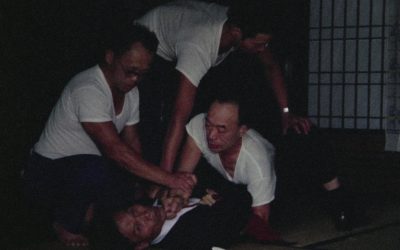 Kuin kuvastimessa #32: The Emperor’s Naked Army Marches On (1987)