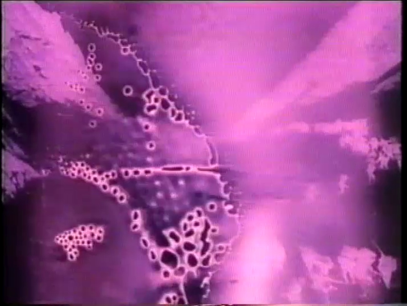 fromthepoletotheequator kuva2 (kopio)