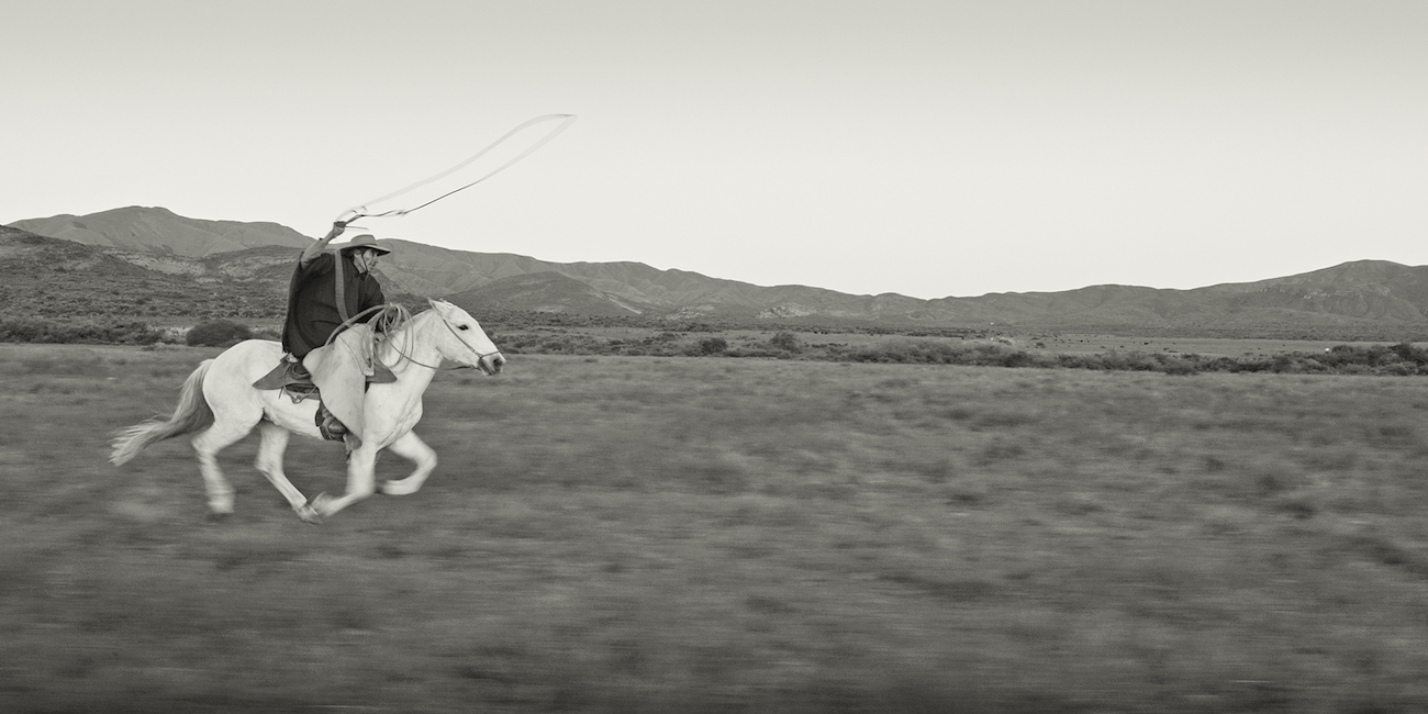 gauchogaucho 4448x1856 1.106 1.106.1 copy