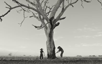 Kuin kiehtova keidas – arviossa argentiinalaisdokumentti Gaucho Gaucho