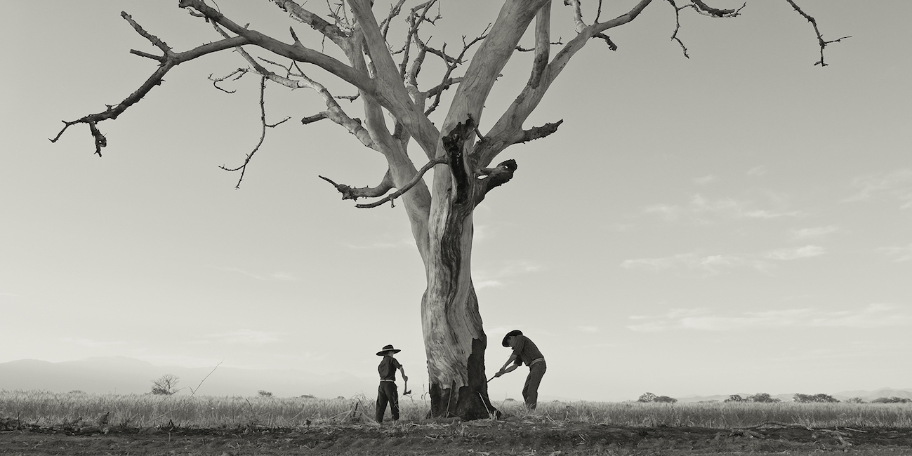 levoton tuhkimo by hanna maria gronlund kulttuuritoimitus INSTA